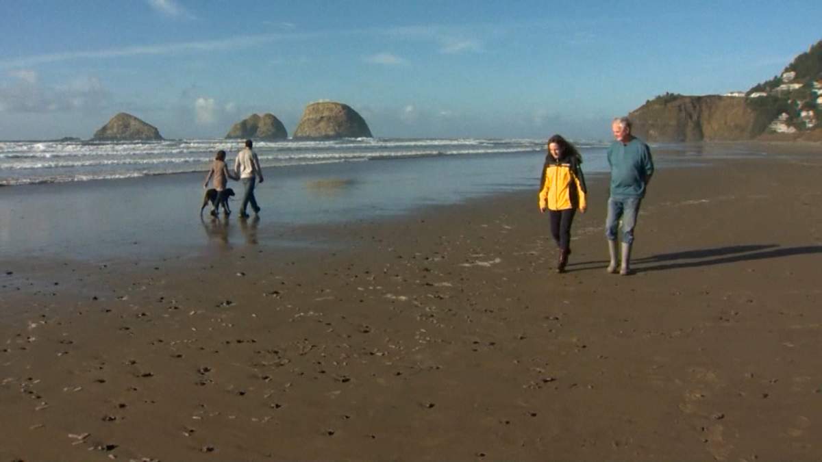 Millions of “sea-pickles,” scientifically known as pyrosomes, are seen on a beach in Oceanside, Oregon on Nov. 26.