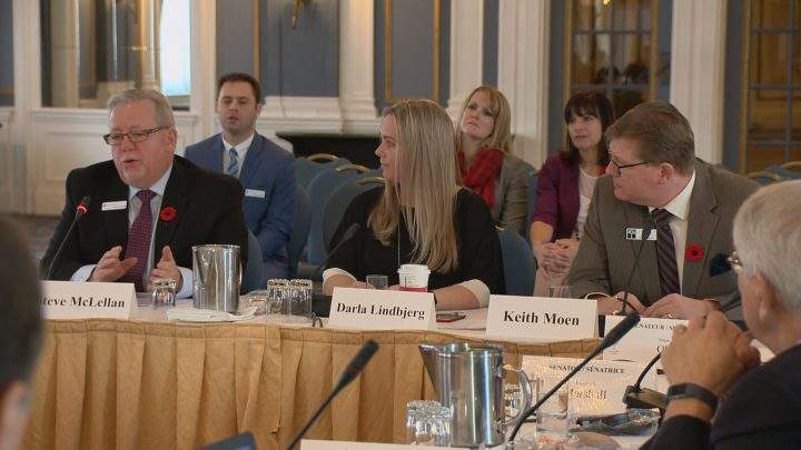 Sask. business leaders sound off to Senate committee over proposed tax changes - image