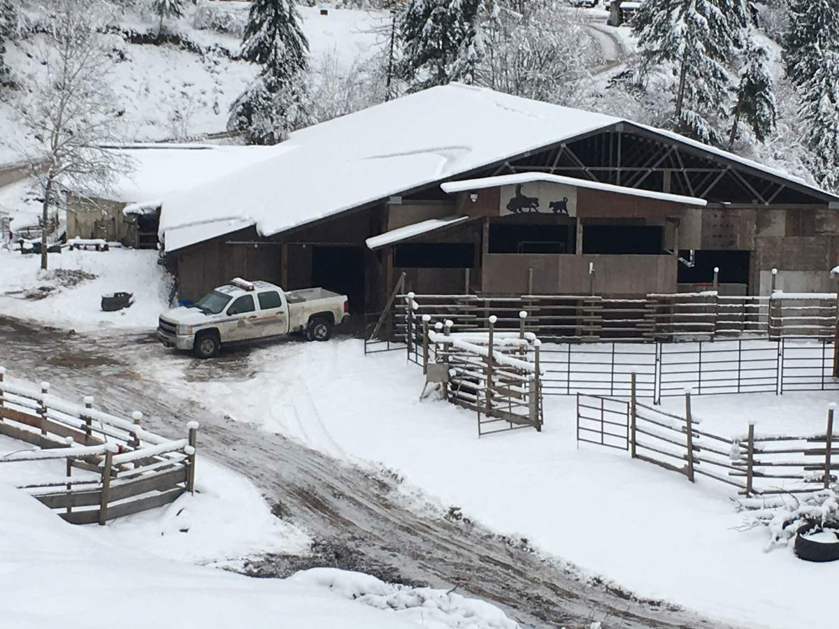 Police presence decreases at Salmon River Road farm near Salmon Arm.