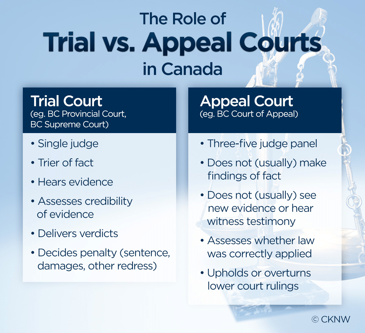 The B.C. judge who ‘ignored evidence,’ ‘erred in law’ and put a ministry under fire - image
