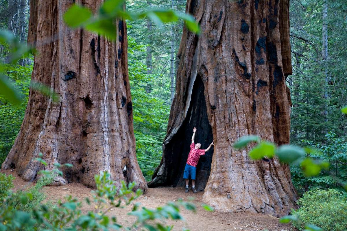Yosemite National Park is among the 17 national parks in the U.S. that may get an entrance fee hike.