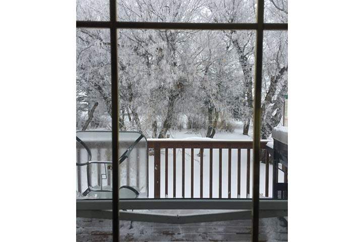 Kari Cenciose took this Nov. 20 Your Saskatchewan photo near LeRoy.