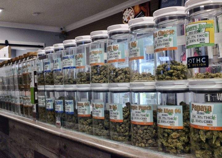 SGEU says the Saskatchewan government is foregoing millions in revenue by allowing the private sector handle marijuana sales.