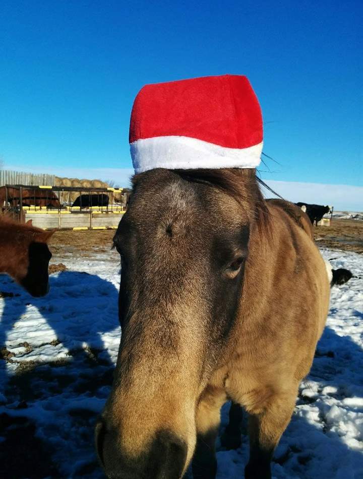Trent Gerling took the Your Saskatchewan photo for Dec. 22 near Salvador.