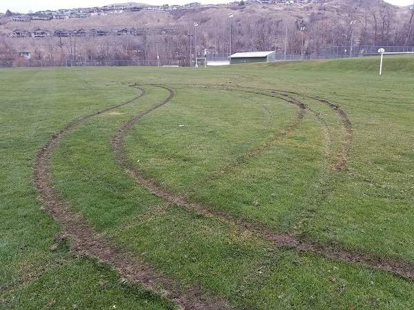 RCMP said a vehicle did extensive damage to a Coldstream Park. 