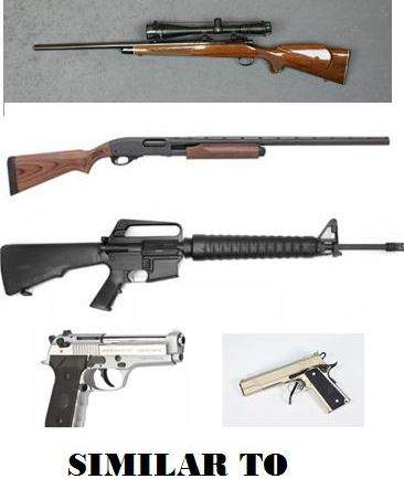 Kelowna burglar gets away with several firearms - image