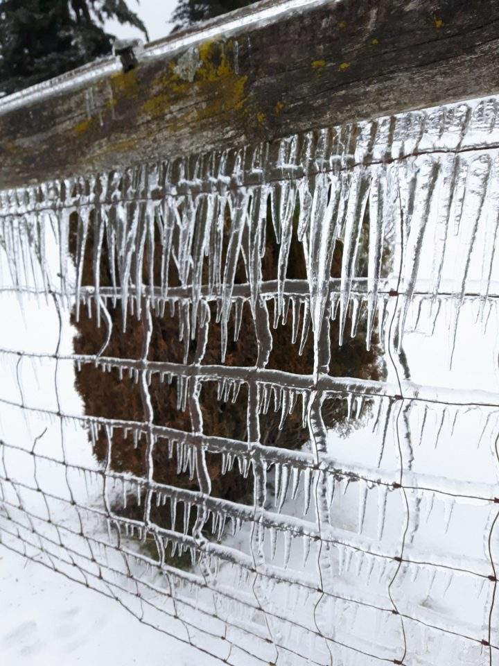Ice blanketed parts of the Fraser Valley.