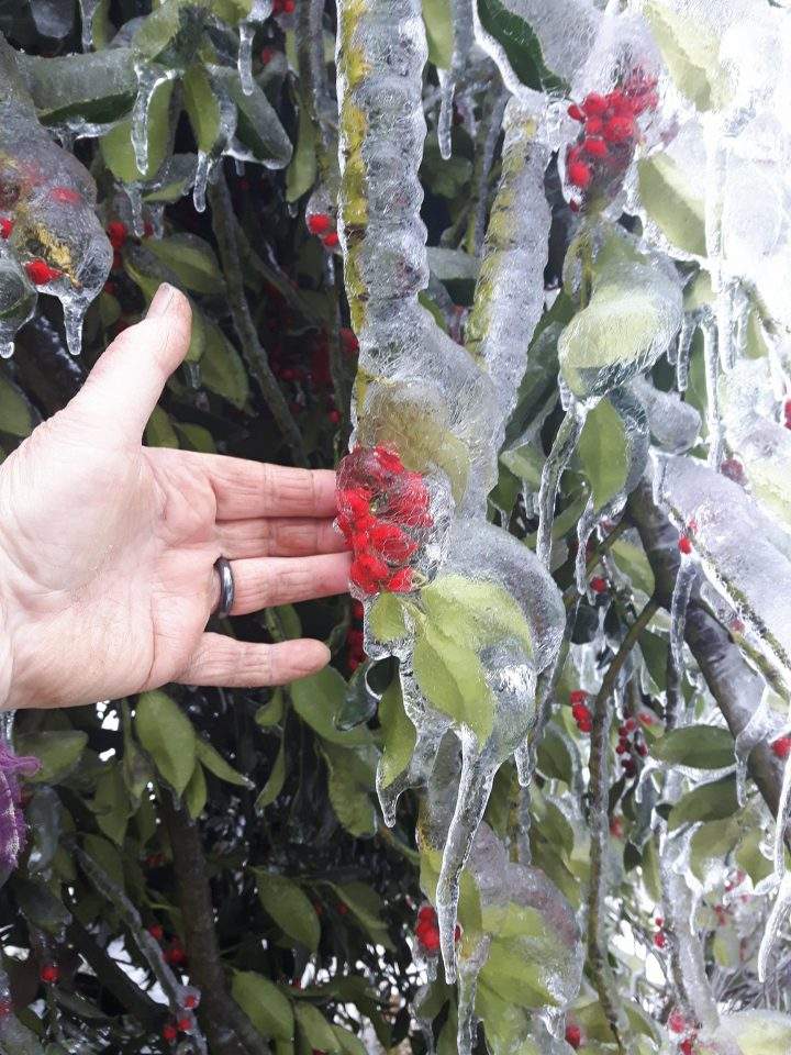 Ice blanketed parts of the Fraser Valley.