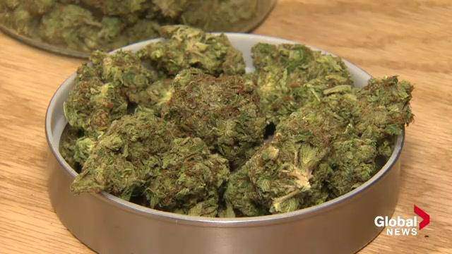 Next summer pot timeline is common sense: president of Alberta police chiefs - image