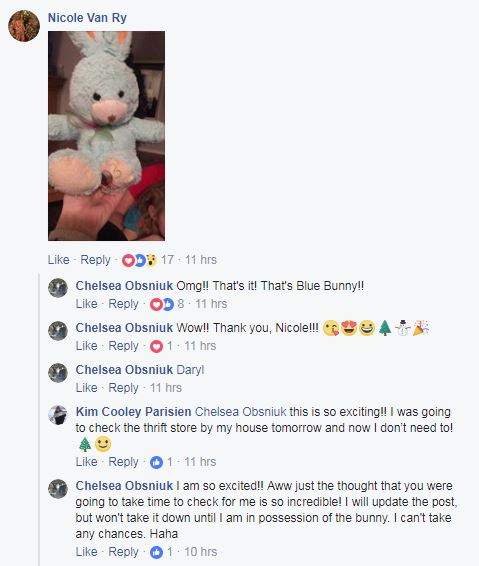 Viral Facebook post makes Winnipeg girl’s Christmas wish come true - image