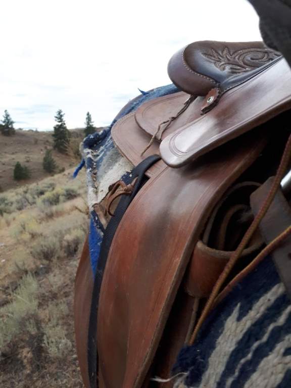 Saddle destroyed in vehicle fire