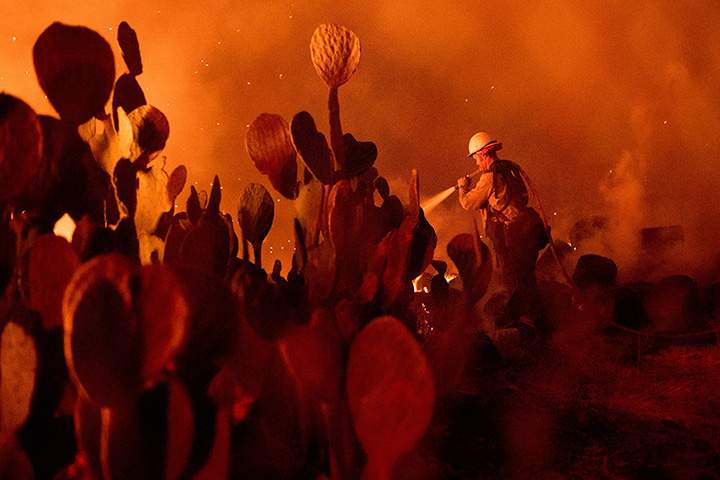 A firefighter battles a wildfire in Ojai, Calif., on Thursday, Dec. 7, 2017.