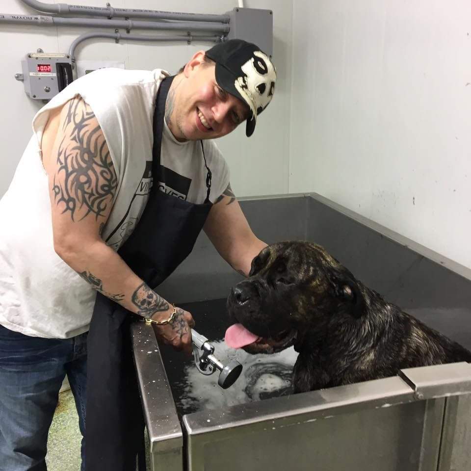 Saskatoon native Cameron Griffiths has been identified as the victim in a fatal collision in eastern Alberta. 