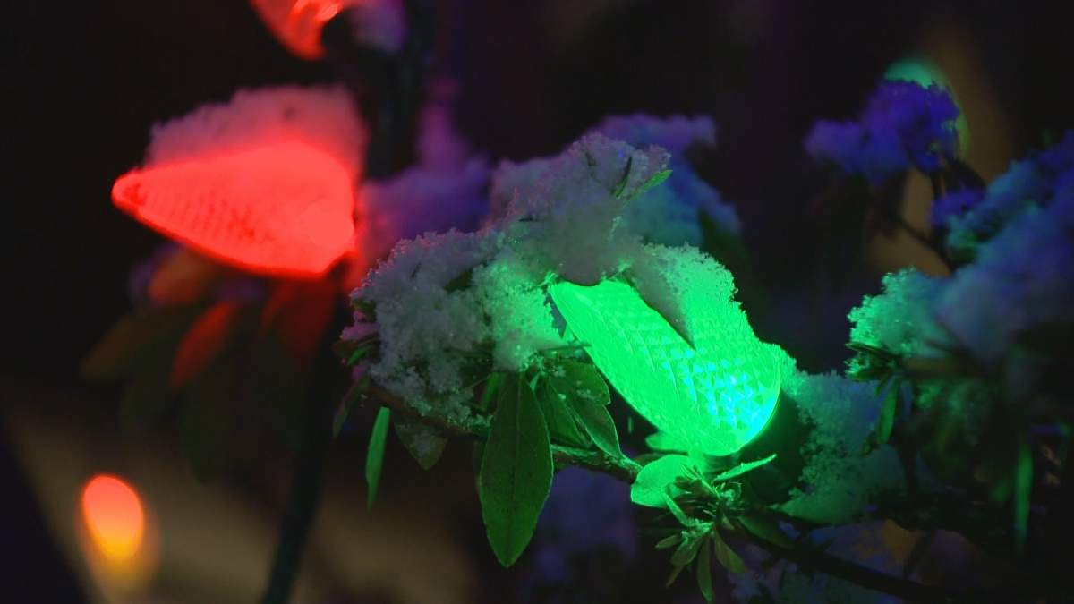 Vancouver’s not dreaming of a White Christmas, it’s living one - image