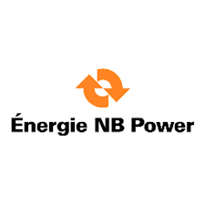 New Brunswick to seek new fuel source to replace coal in major power plant - image