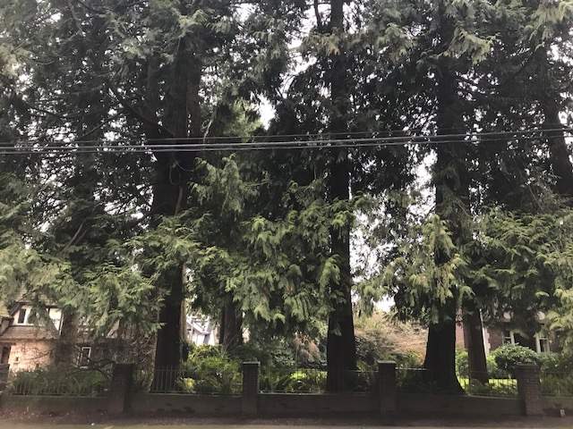 Vancouver woman being charged Empty Homes Tax for land with no home on it - image