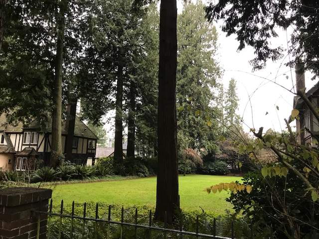 Vancouver woman being charged Empty Homes Tax for land with no home on it - image