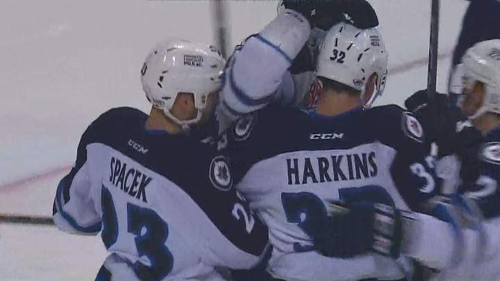 The Manitoba Moose celebrate a first period goal against the Milwaukee Admirals on Saturday.