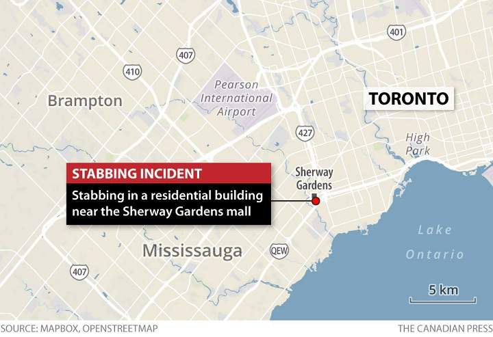 Suspect in custody after man stabbed, baby critically injured near Sherway Gardens: police - image