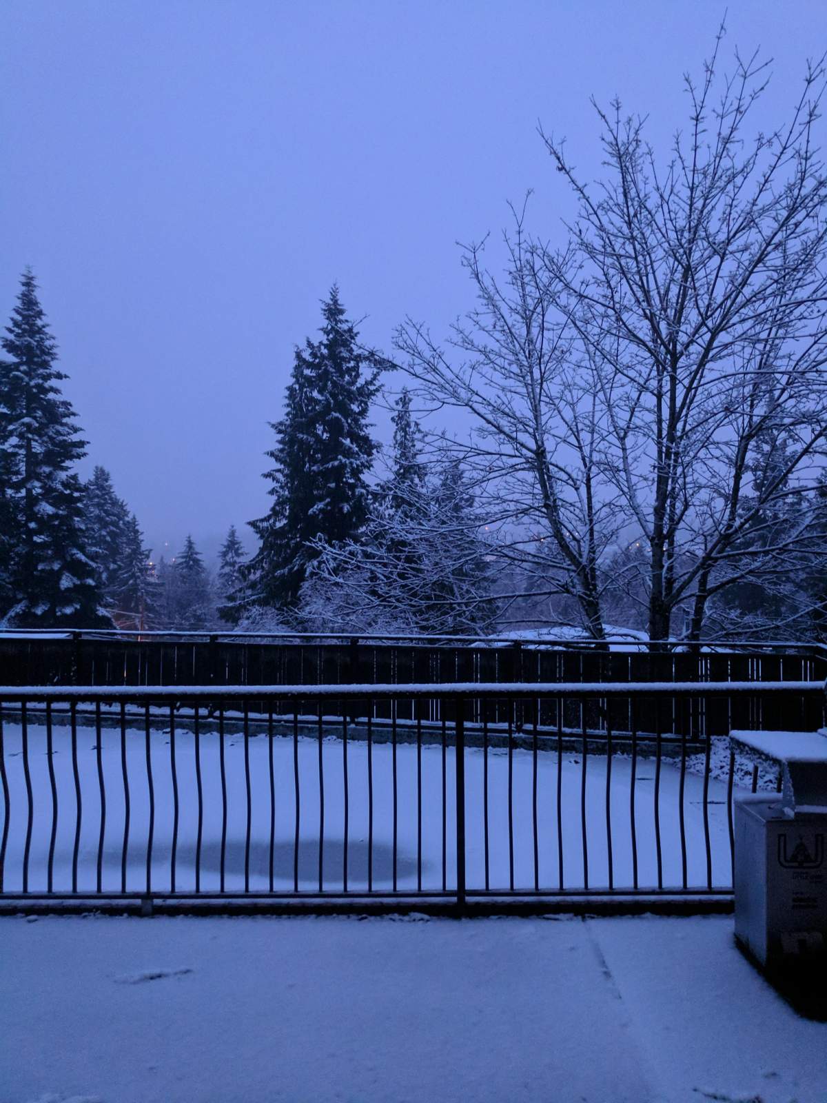 Nanaimo snow. Credit: Kim D Kilbreth Jr.