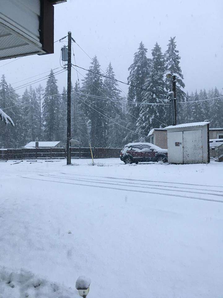 Snow in Nanaimo. Credit: Dey Matte