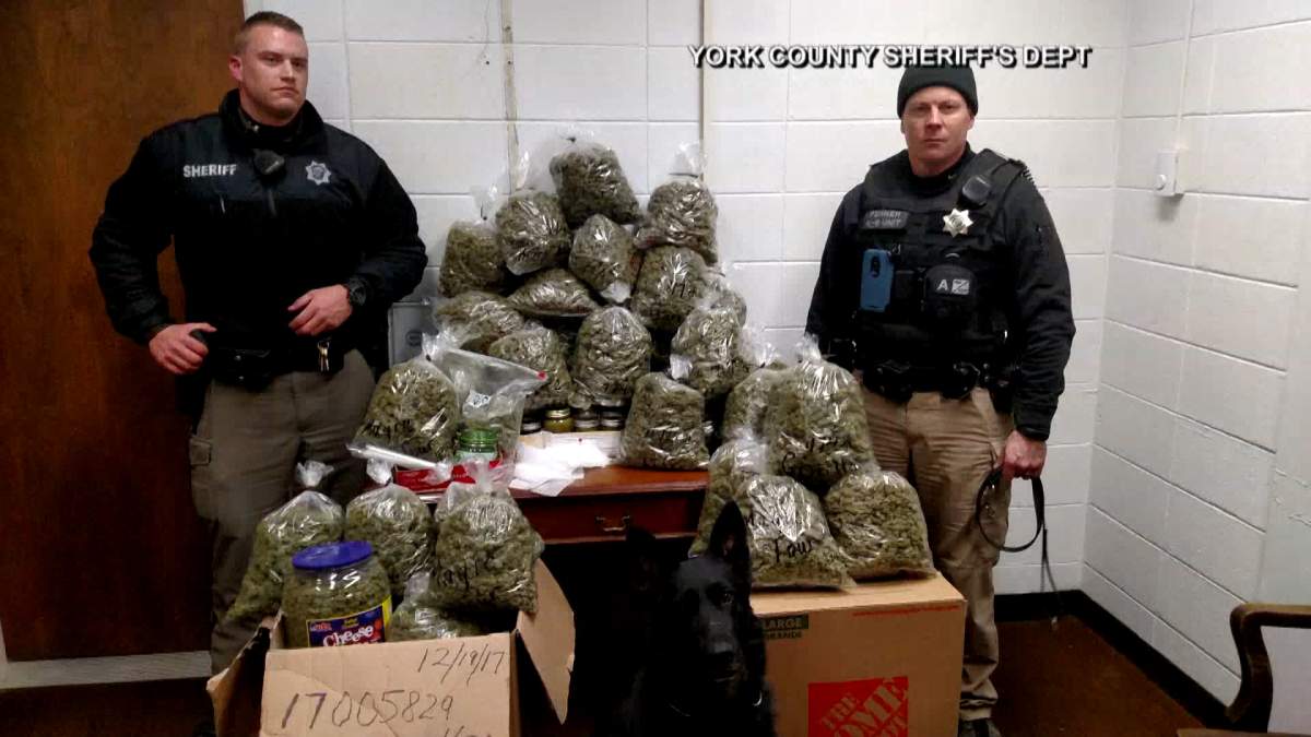 Elderly couple caught with over C$400K worth of pot they claim was ‘for Christmas presents’ - image