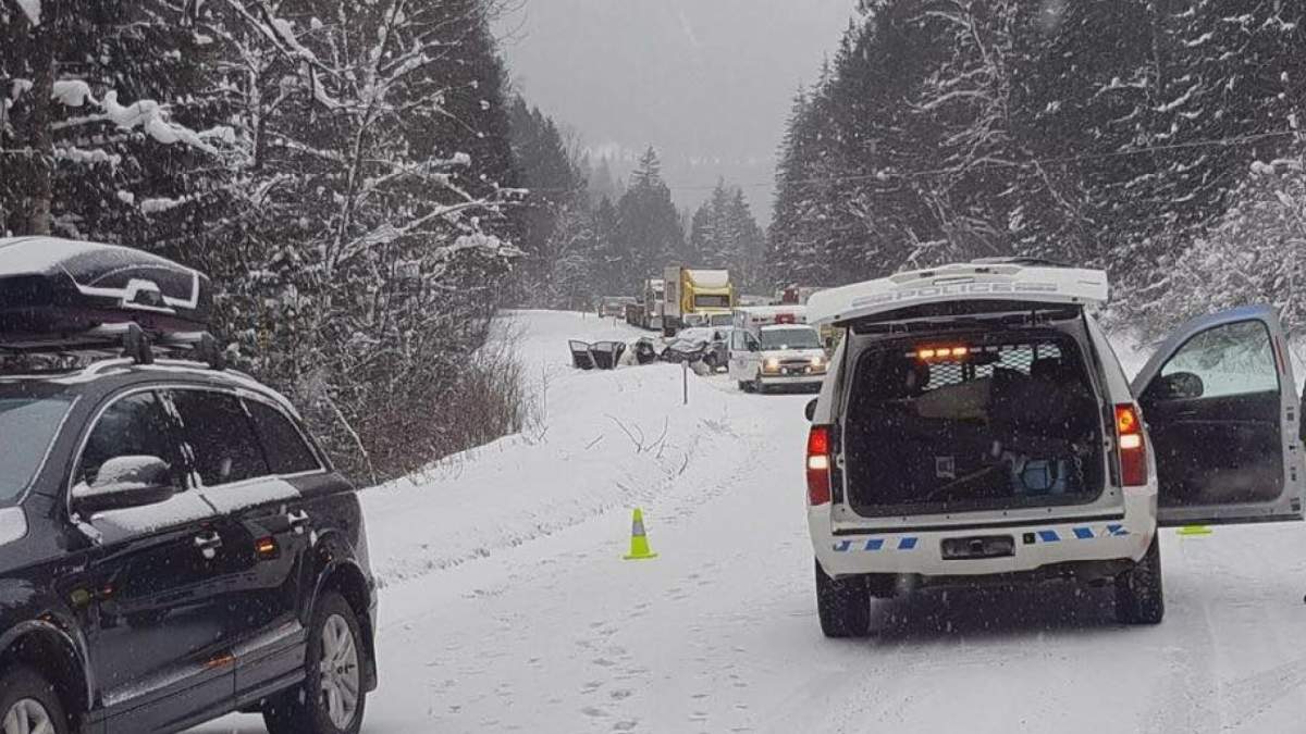 Another fatal crash near Revelstoke - image