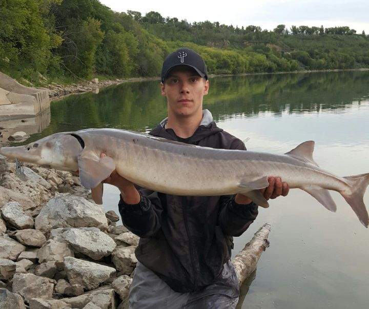 22-year-old Stephan Hendrick Kody.