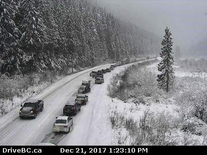 Fatal crash near Revelstoke - image
