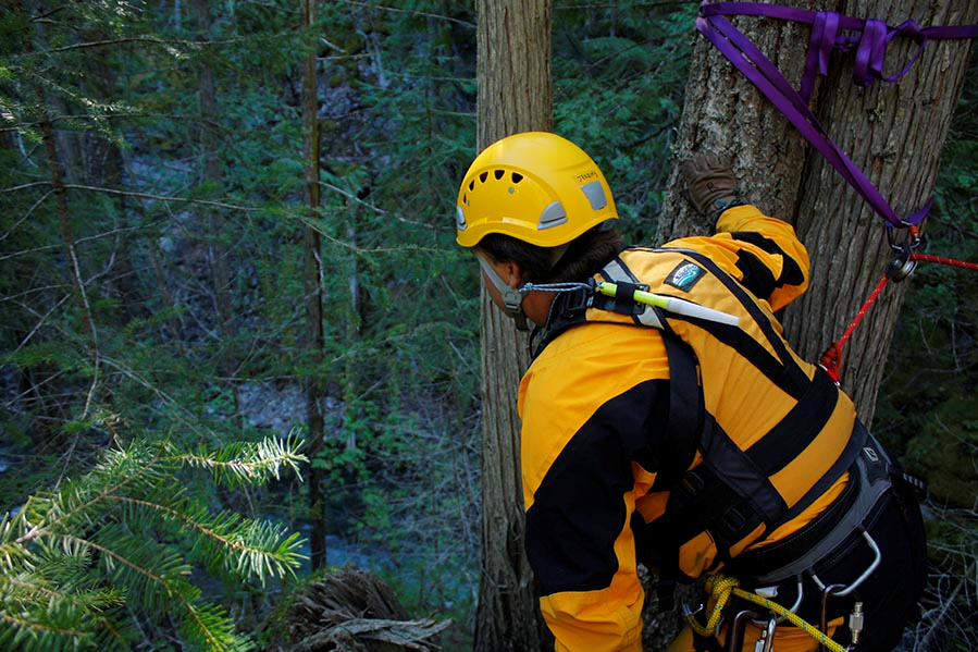 Vernon SAR wins UTV in online voting contest - image