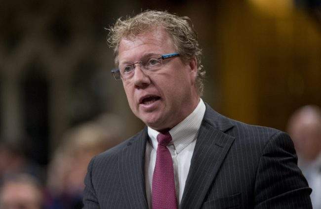 Rick Dykstra rises during Question Period in the House of Commons, May 15, 2015 in Ottawa.