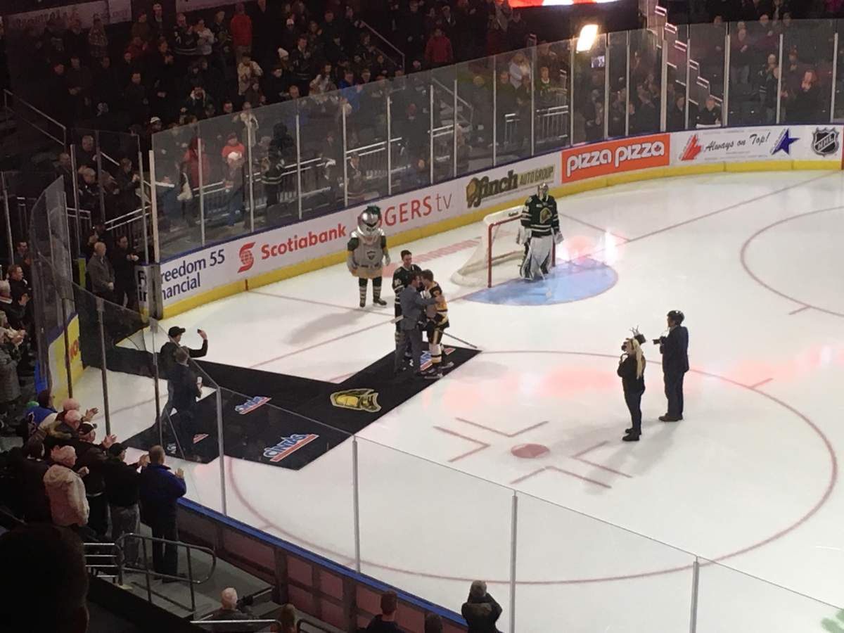 Bulldogs take a bite out of the Knights - image