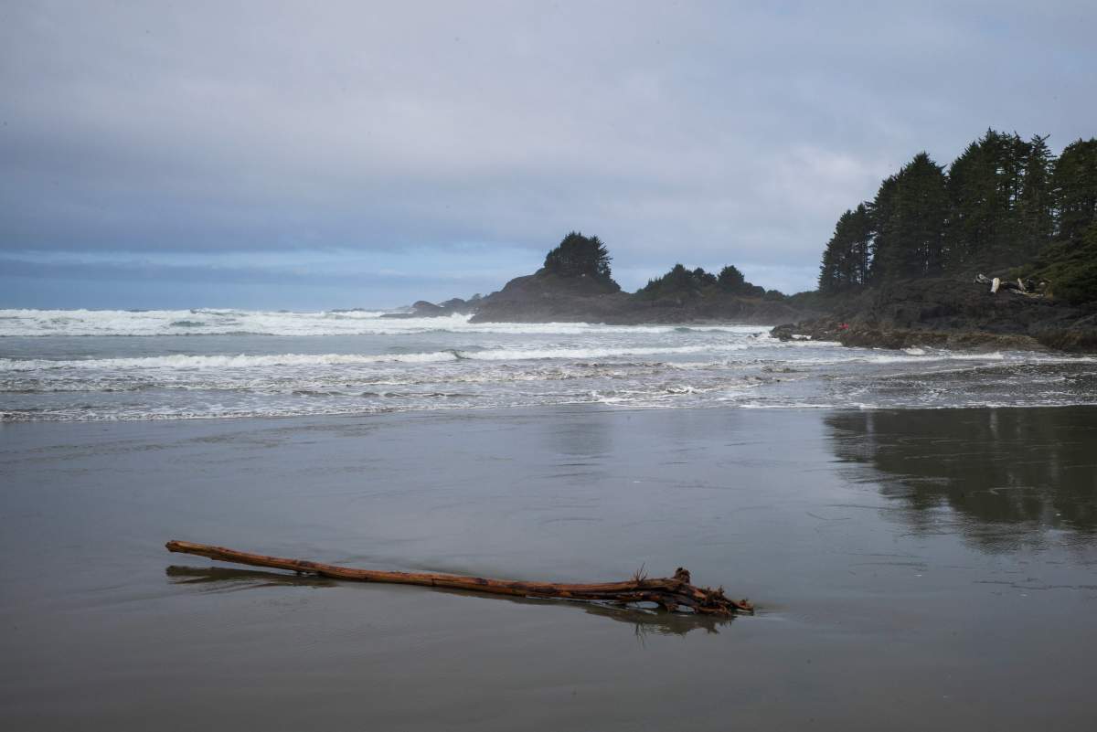 Driftwood on the beach, Pacific Rim National Park Reserve, on the southern part of Vancouver Island’s West Coast, on Sunday, March 29, 2015.