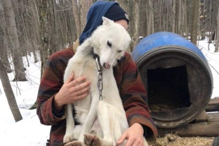Dylan Blake and one of the dogs at the location in Moonstone, Ont.