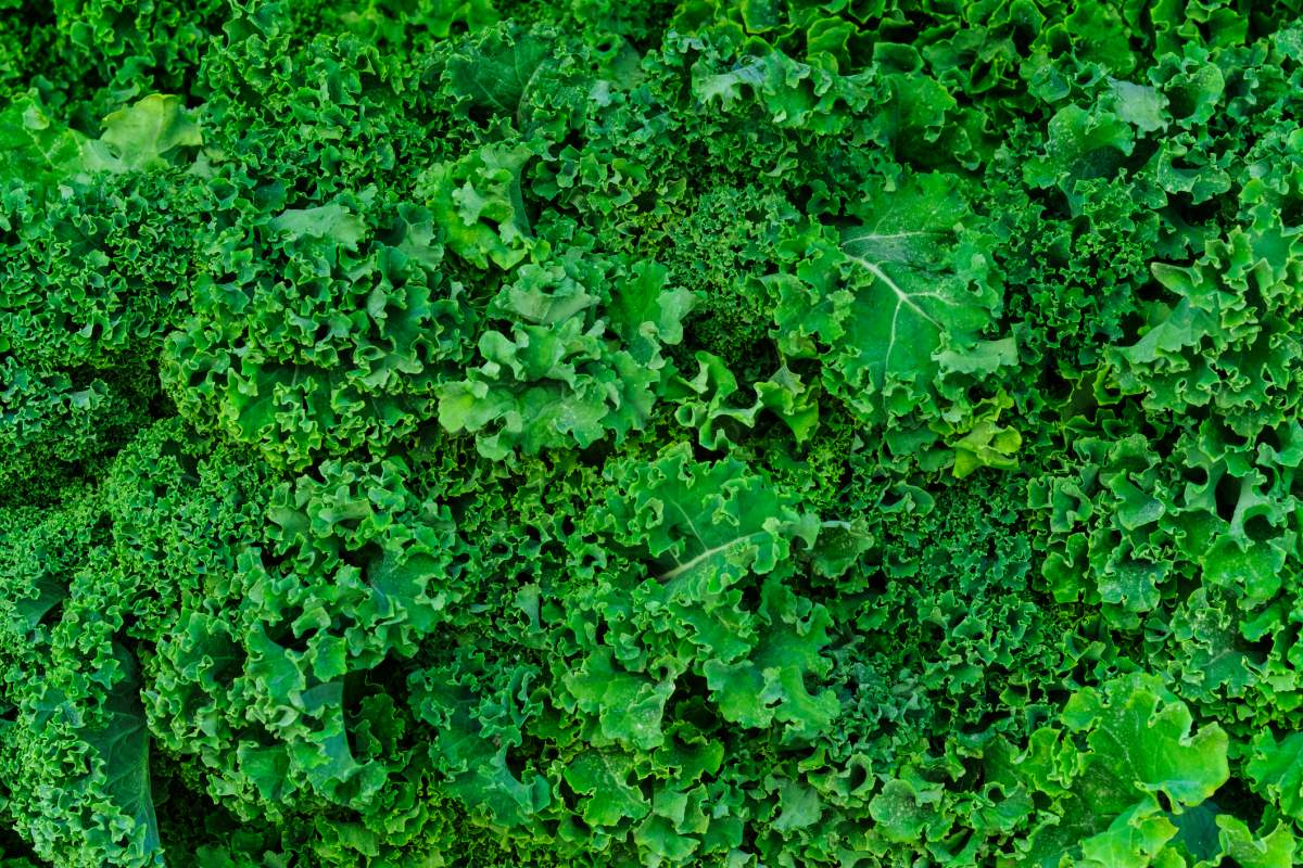 Here’s a $50 grocery list for an entire week of healthy eating - image