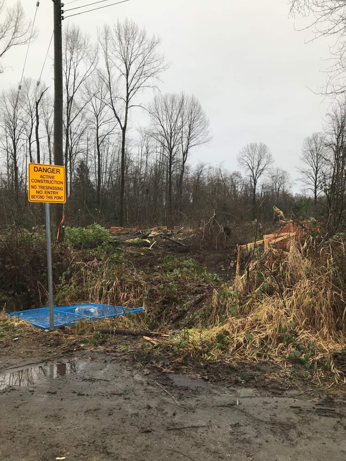 ‘It’s very traumatizing,’ says Surrey resident as city cuts last trees for Hawthorne Park road - image