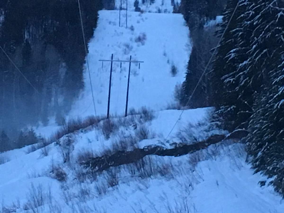 A large tree fell on a major transmission line near Rossland, B.C. Wednesday afternoon, interrupting power to about 4,000 customers into the night.