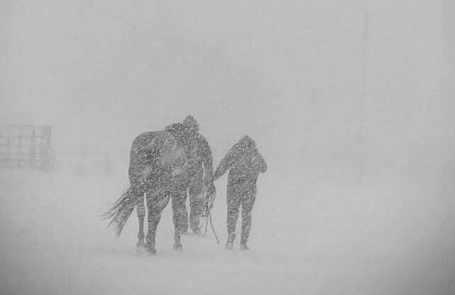 On Tuesday afternoon, the City of Regina announced it is going into 'storm mode' as Environment Canada warns of blizzard-like conditions across southern Saskatchewan.