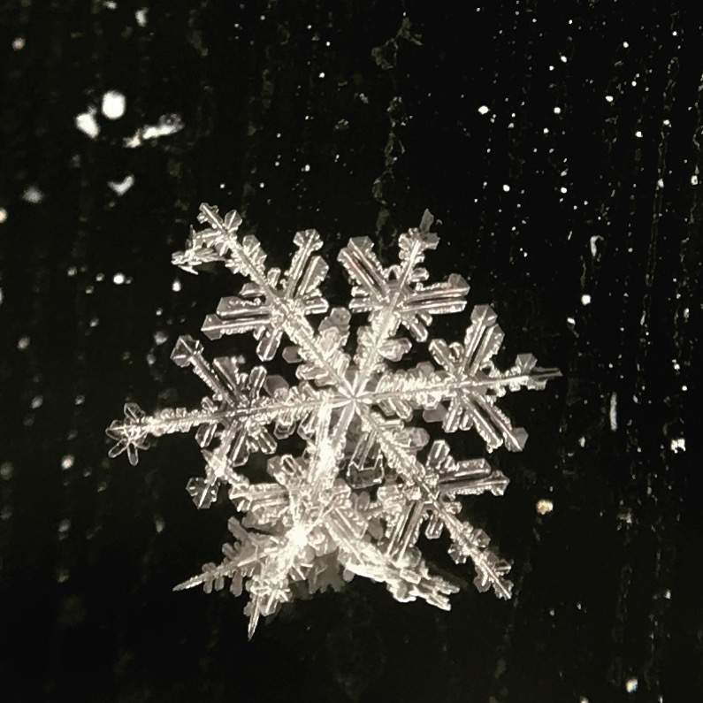 Snowflakes form in higher humidity environments.