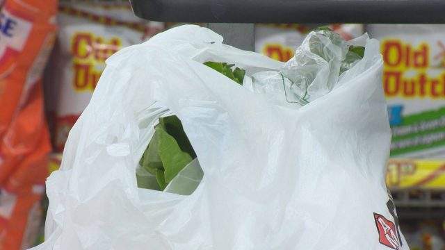 Ottawa city councillors debated a motion about reducing single-use plastics, like bags, straws and takeout containers, during council's meeting on Wednesday morning.