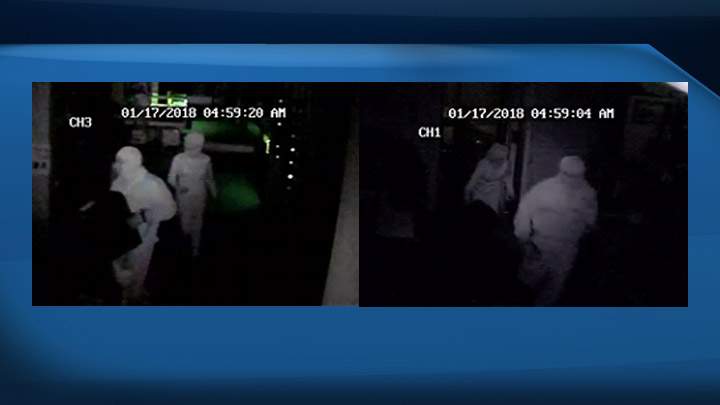 Thieves make off with numerous handguns from Prince Albert business.