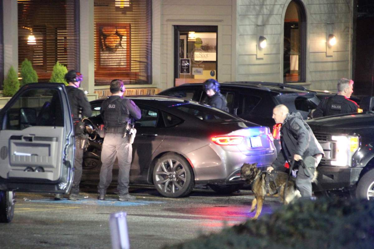 Credit: Shane MacKichan