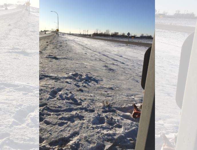A Winnipeg woman made a gruesome discovery while driving along Rte. 190 Jan. 4.