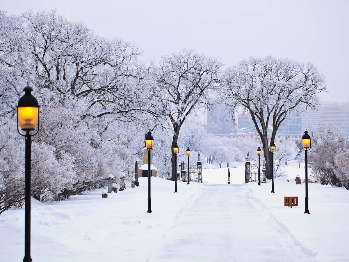Winnipeg's typically frigid winter is looking downright balmy this year, says an Environment Canada climatologist.