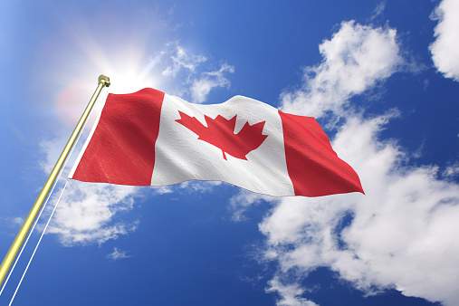 What to do in London, Ont., on Canada Day 2020 - image