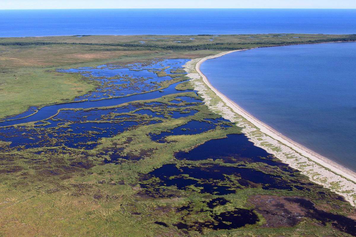 The Nature Conservancy of Canada says its received a donation of nine parcels of ecologically significant land in northeastern New Brunswick, some of which is shown in this undated handout photo. 
