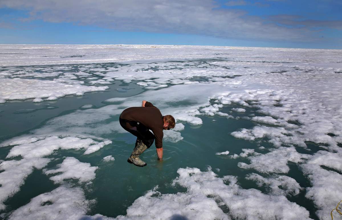 Although the warming could still just be a rare event, scientists are concerned about how frequent and long it's lasting.