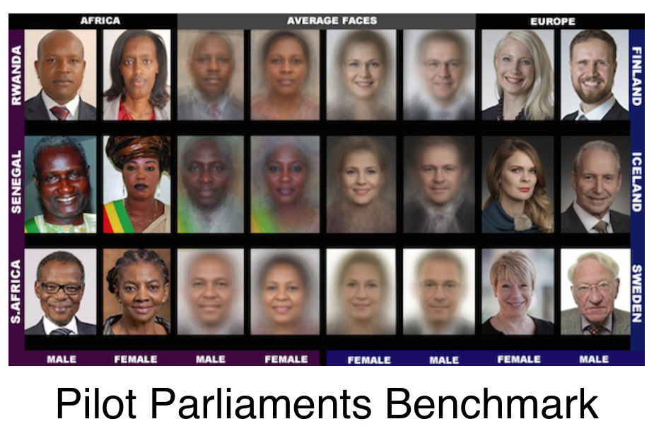 Gender Shades Project.
