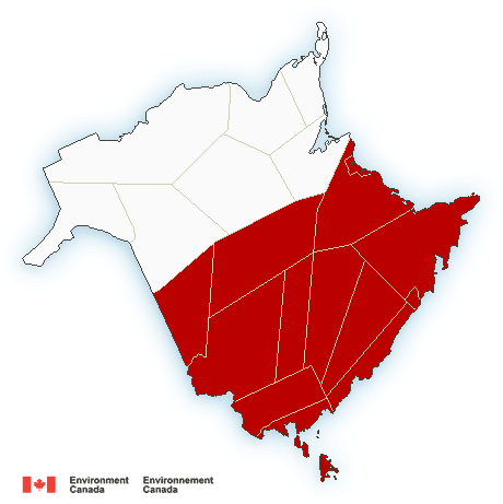 Southern New Brunswick is under a flash freeze warning on Feb. 2, 2018