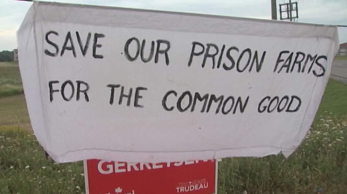 Kingston prison farms to reopen - image